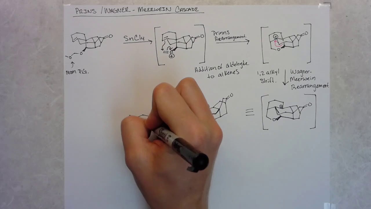 Total Synthesis of Arcutinidine