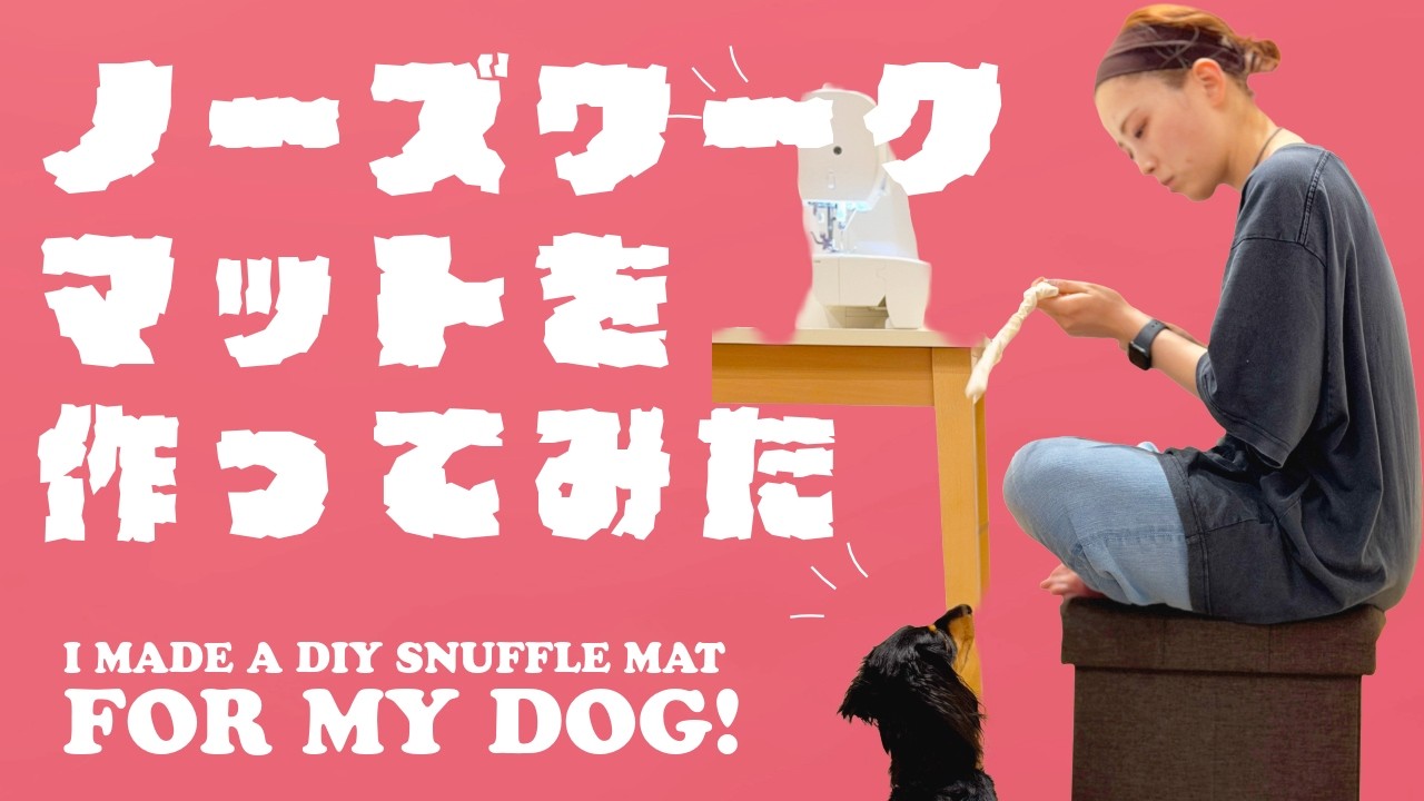 I made a nose work mat. - YouTube