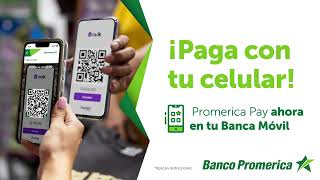 Paga con tarjetas de crédito y débito por código QR desde tu dispositivo. screenshot 3