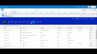 Salesforce CRM for Beginners: Navigating My Portfolio as a Virtual Assistant