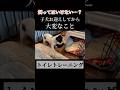 【子犬あるある】お迎え後に大変なこと#shorts #キャバリア
