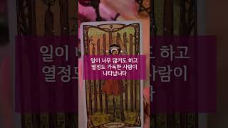 #shorts #타로사주 ＃연애운 #솔로 #새로운인연