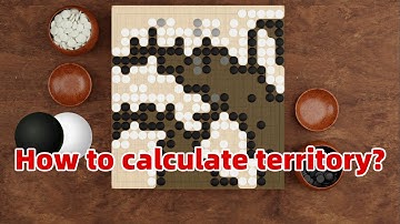 How to Count Territory in Weiqi?