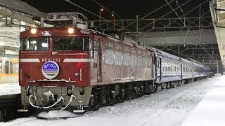 EF81-137+24系8両 寝台特急あけぼの  青森駅発車