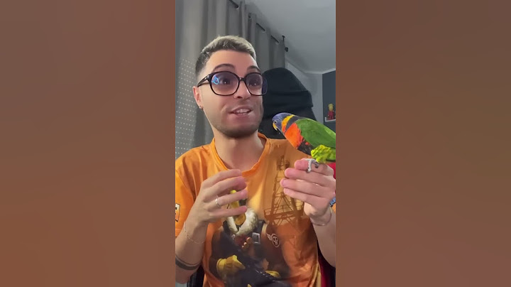 OTELLO E IL PAPPAGALLO...