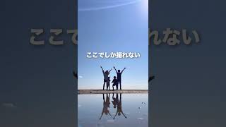 【愛知県西尾市観光スポット4選】
