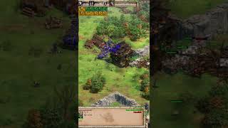 Age of Empires2 Definitive Edition #aoe2 #aoe2definitiveedition #aoe2de