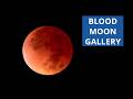 Spectacular Total Lunar Eclipse Images From March 3 2026