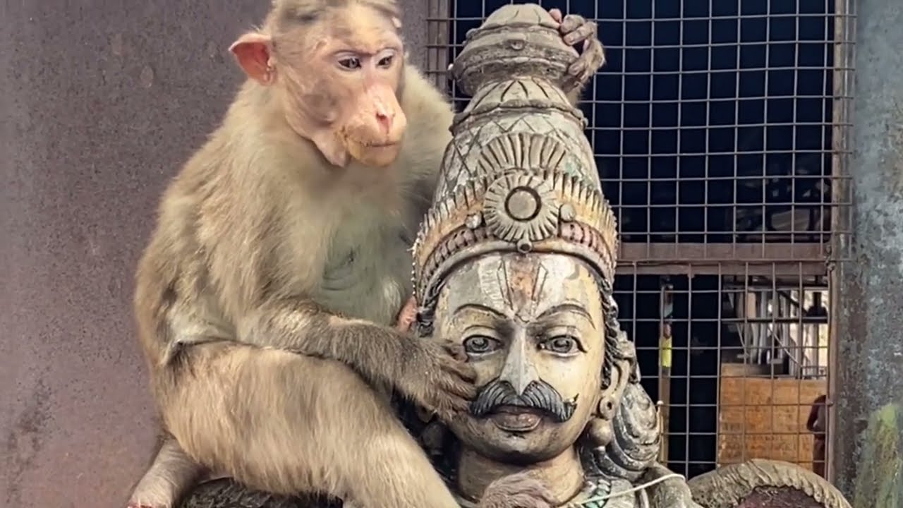 Sholingur I Yoga Narasimha Temple