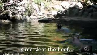 Epic Funny Failwinluck Compilation April 2013