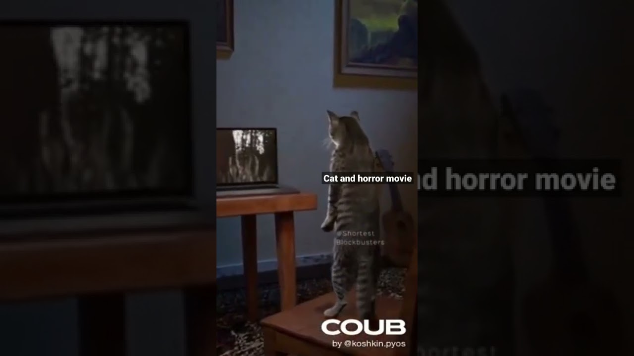 Cat watch horror movie YouTube