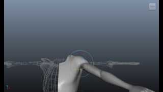 Shouler Test