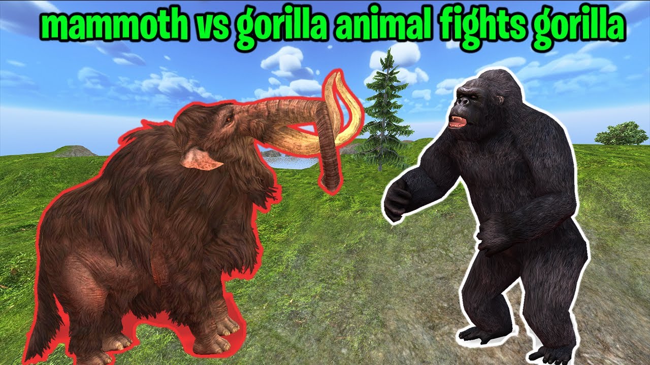 Mammoth vs Gorilla animal fights gorilla - To Seize Territory