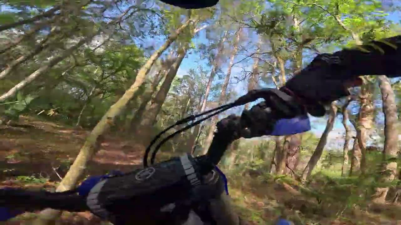 Florida single track dirtbike trails