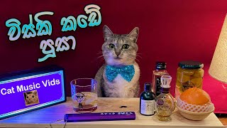 Visky Kade Pusa  Bandu Samarasinghe       Cat  