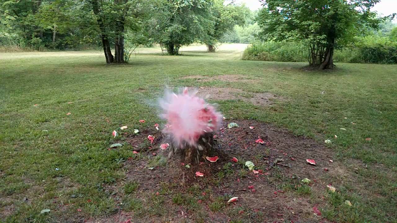 Watermelon destroyed by shotgun in slow motion