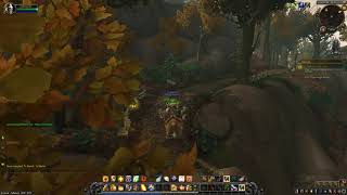 Battle for Azeroth Quest 199: To Market, To Market (WoW, human, Paladin)