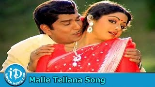 Malle Tellana Manchu Challana Song - Muddula Mogudu Movie Songs - ANR - Sridevi - Suhasini