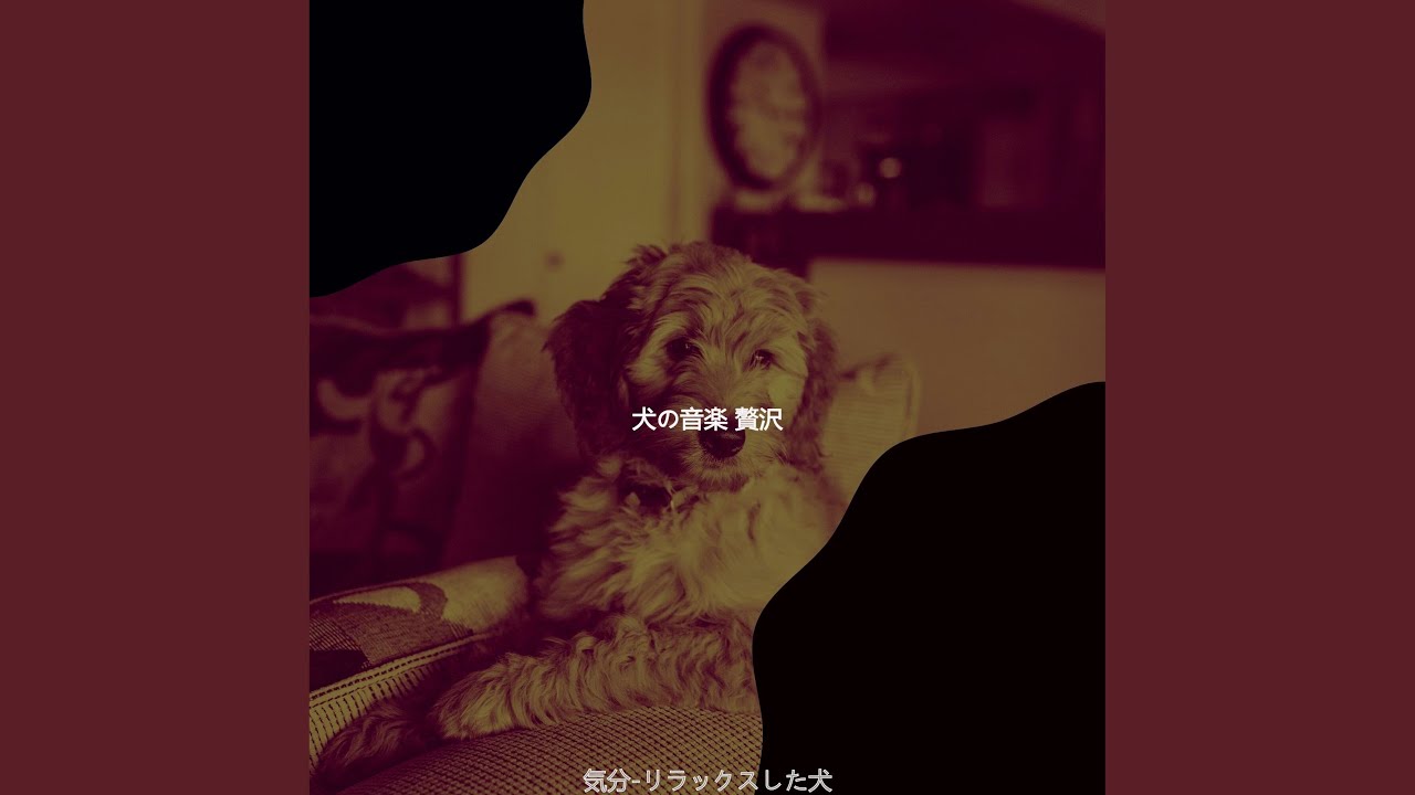 雰囲気 リラックスした犬 Youtube