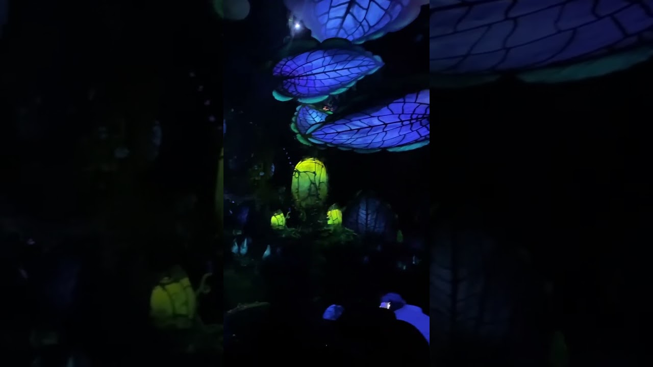 Disney “Navi river journey” avatar  ride 