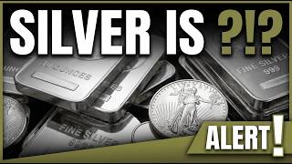 SILVER CRASHED  The Ugly Truth About What’s Next