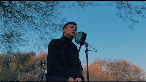 Adele - when we were young | cover song