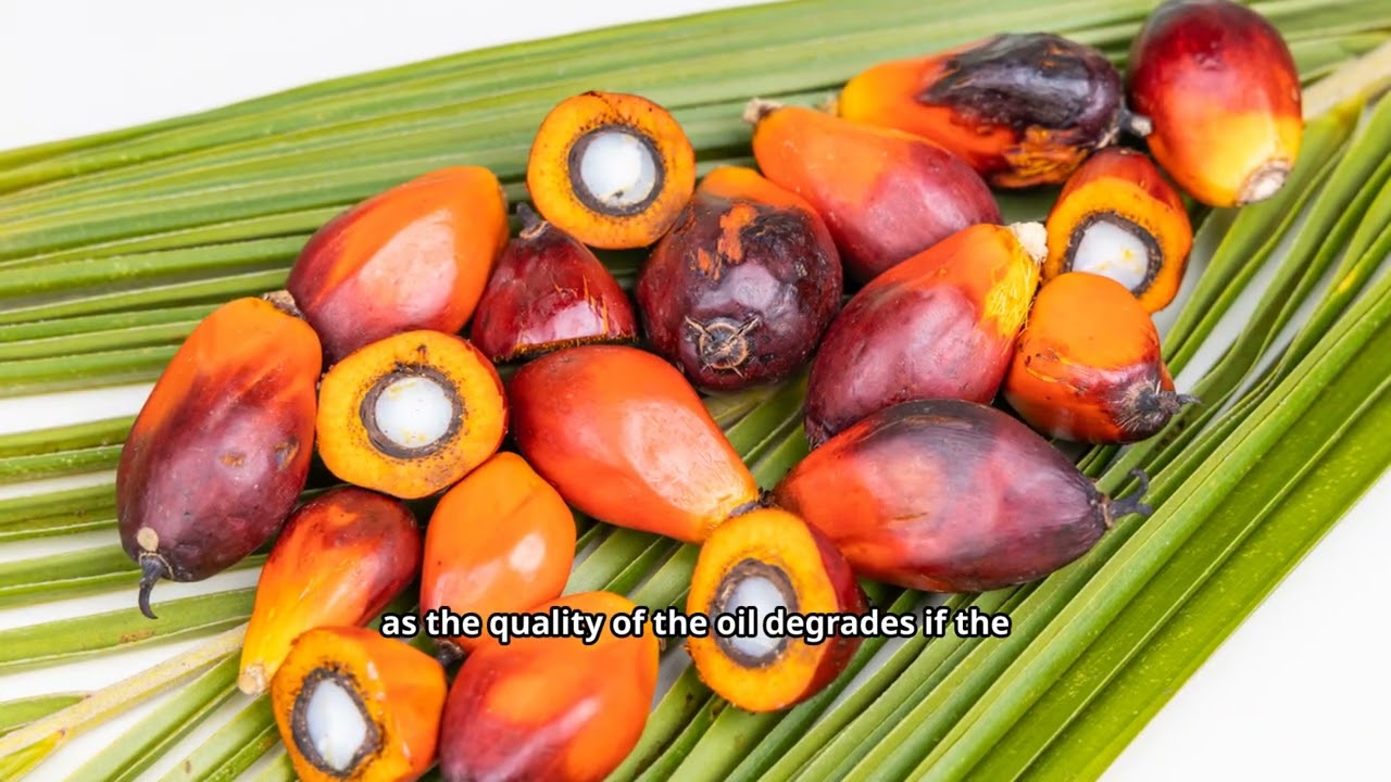 Nigeria’s Raw Materials Making Billions (And Where They Go)