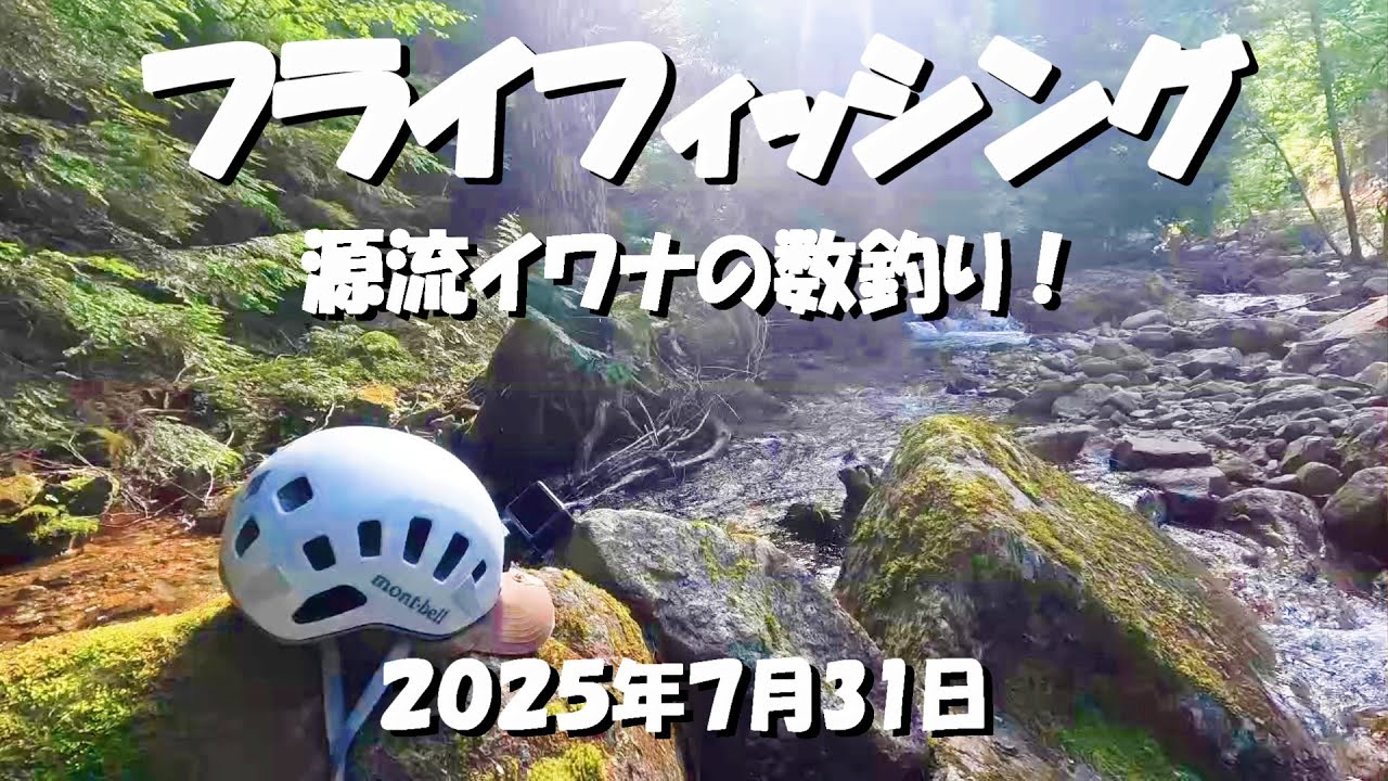 源流イワナの数釣り！山岳渓流は釣れ出すと止まりません【フライフィッシング】2025年7月31日
