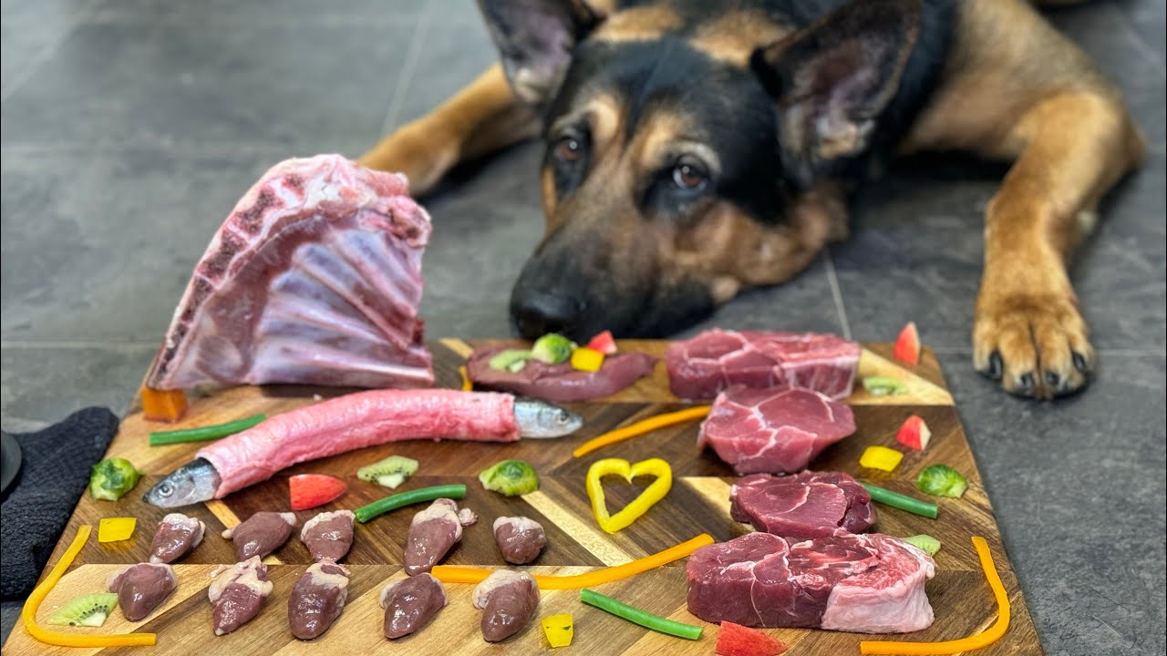 Deconstructed Lamb Feast | Biologically Appropriate Raw Feeding.  🥩🐑🫀🐟🥕🥝🍎🍓 