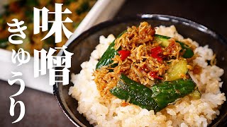 【炒めるだけ】ご飯と酒が超進む！本当は教えたくない簡単『味噌きゅうり』の作り方/きゅうりの大量消費レシピ/作り置き