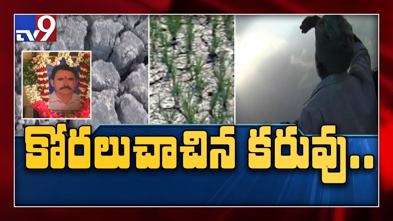 Drought hits AP hard, farmers incur huge losses - TV9