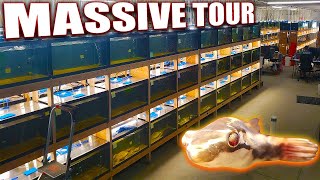 Over 400 Aquariums of Rare Fish  Dansfish Warehouse Tour