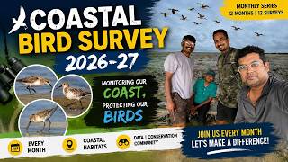 Coastal Migratory Bird Survey July 2026 Rare Shorebirds of India Monthly Migration Watch