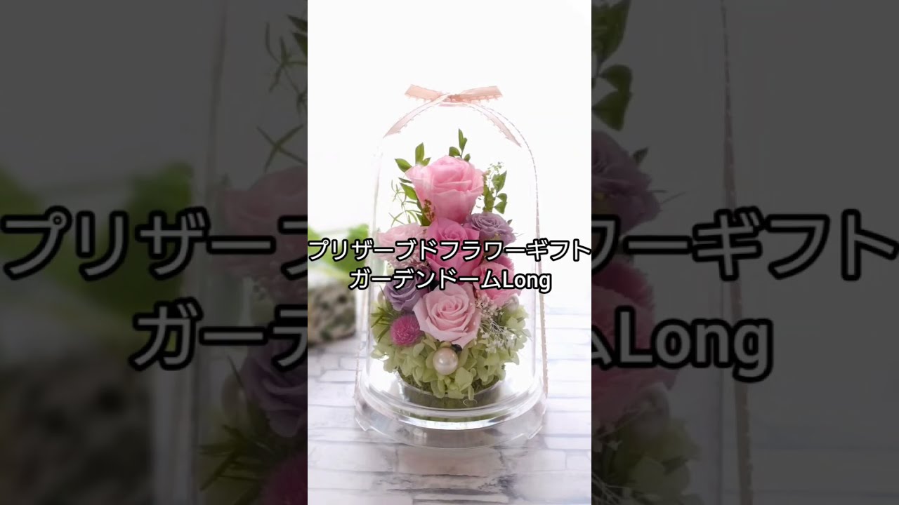 プリザーブドフラワー ドームアレンジ ガーデンドームLong（ピンク