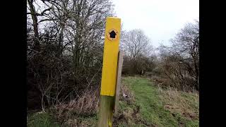 Fantastic Views And A Walk At Folly Wood