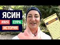 Имя Ясин – история, происхождение. Пишем по-арабски. Сура 36 Ясин.