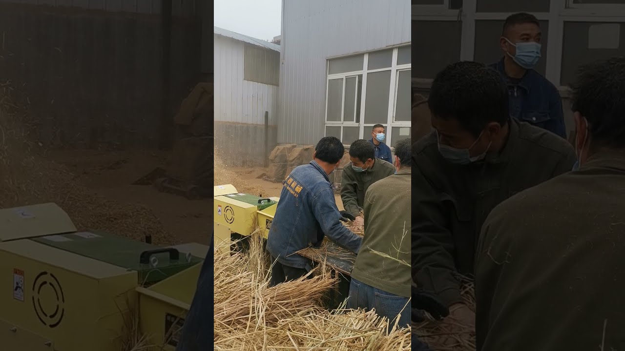 Weiwei chaff cutter grass hay straw shredder cattle sheep feed processing machines