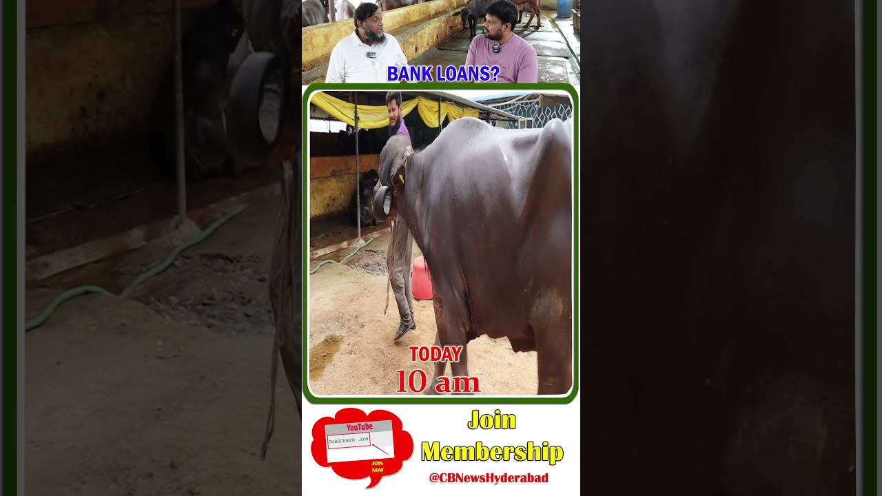 Dairy training today 