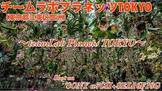【チームラボプラネッツTOKYO #350】〜teamLab⭐︎PlanetsTOKYO〜【SONY α7CⅡ+SEL16F18G】