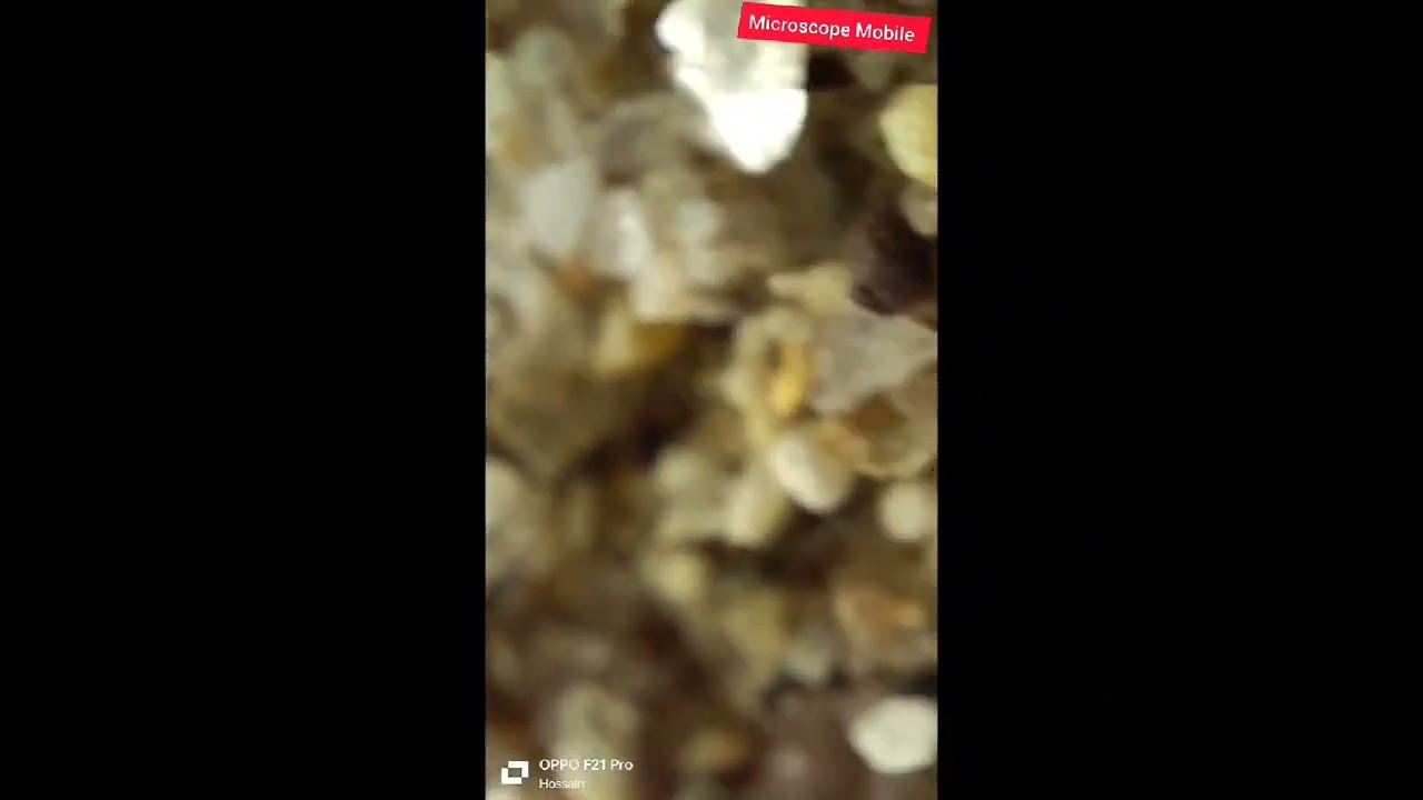 Sand under the microscope. 