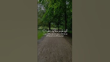 القارئ..اسلام صبحي/سورة..الماعون