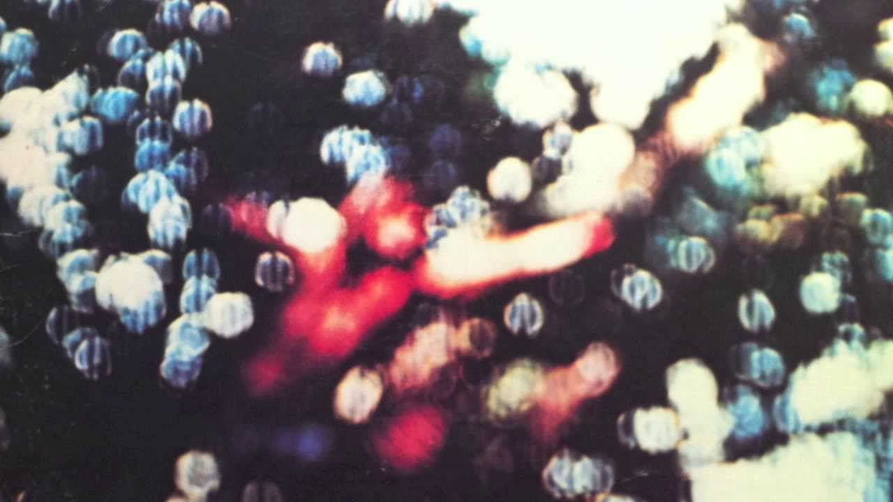 Pink Floyd Wot's Uh The Deal Acoustic Cover by Charlie Narduzzo