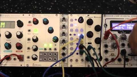 Nexus Instruments cv_looper - Live Synth Loop Generation