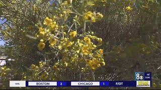 Allergy season is here