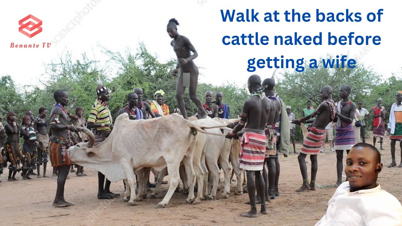 Walk at the backs of 6 cattle naked and get married or forever stay single. Hamer tribe