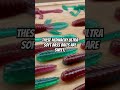 Love these new NedWacky baits! Link in first comment! 🎣