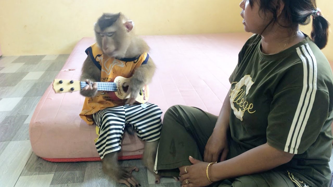 Smart Jason Concentrate To Unlock Potential Use Guitar Wait Dad Admire