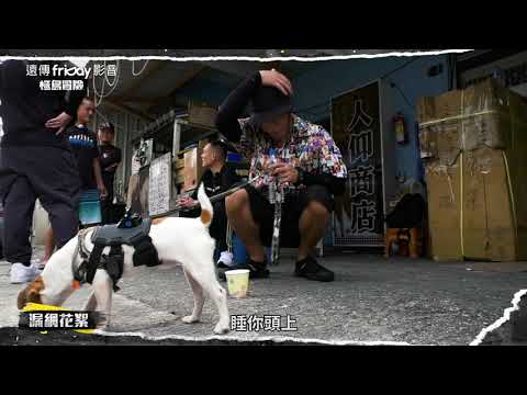 EP03漏網花絮_極島冒險 溜浪玖壹壹_friDay影音每周獨家播出