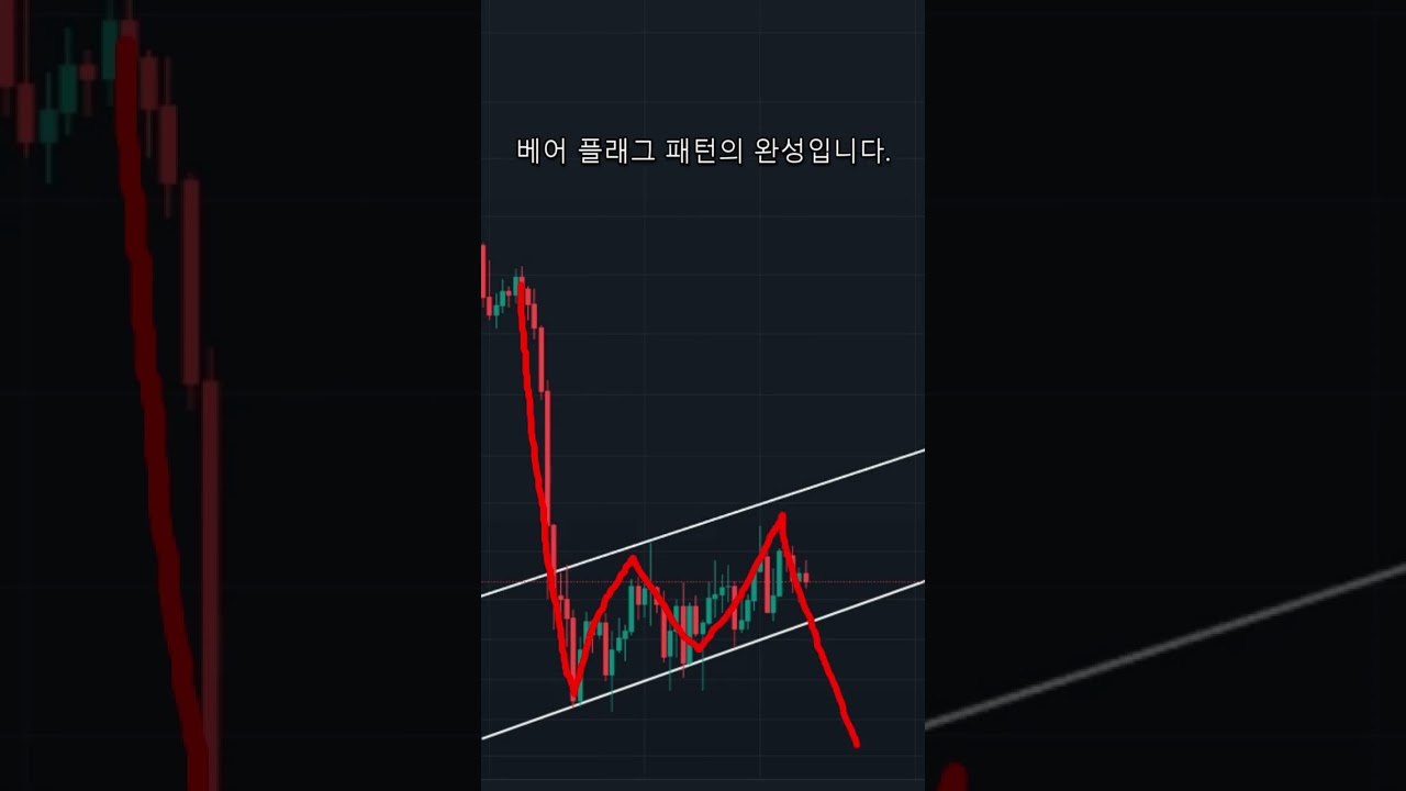 비트코인 베어플래그 (92) 사진