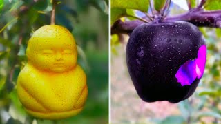 20 Most Amazing & Rare Fruits In The World